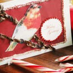 Bird Card - Beauty Shot 1 (640x480)