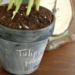 Chalkboard Pots - Beauty Shot 2