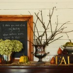Entry Arrangement - Gallery Shot 1 (640x480)