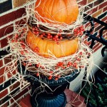 Pumpkin Topiary - Beauty Shot 2 (426x640)