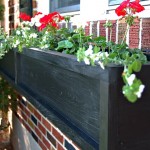 Window Box - Beauty Shot 3