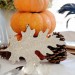 {the last days of fall}