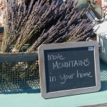 033 (800x532)