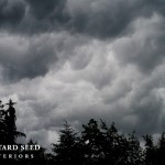 DSC_2175 (640x424)