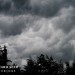 Christmas in May & an Amazing Sky
