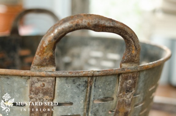 DSC_2913 (640x424)