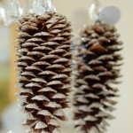 DSC_4633 (428x640)
