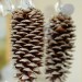 how to make glittery pine cones