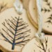 Traveling, Brushes & Country Living