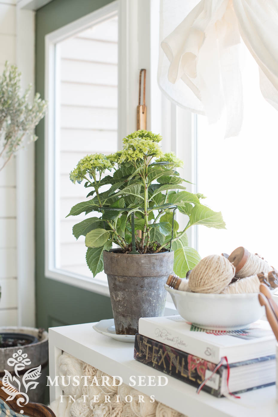 plant aesthetic | pick-me-up plants | missmustardseed.com