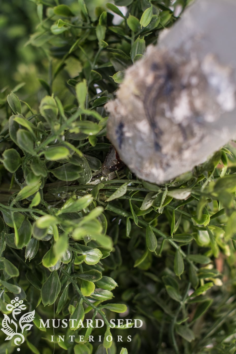 faux boxwood topiaries | miss mustard seed