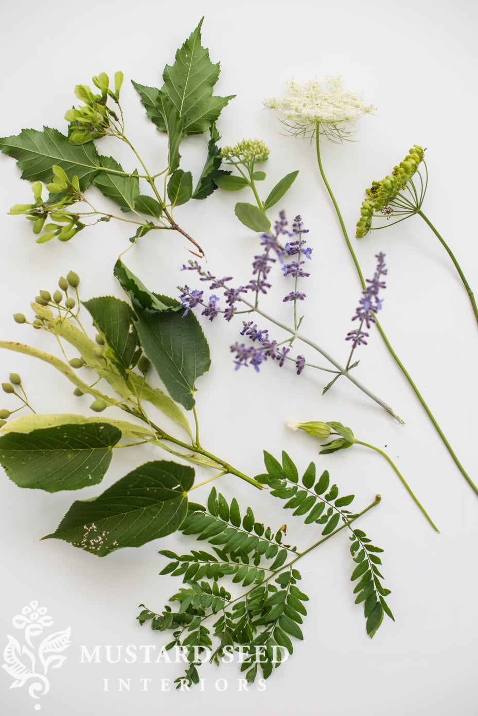 collection of wild flowers | miss mustard seed