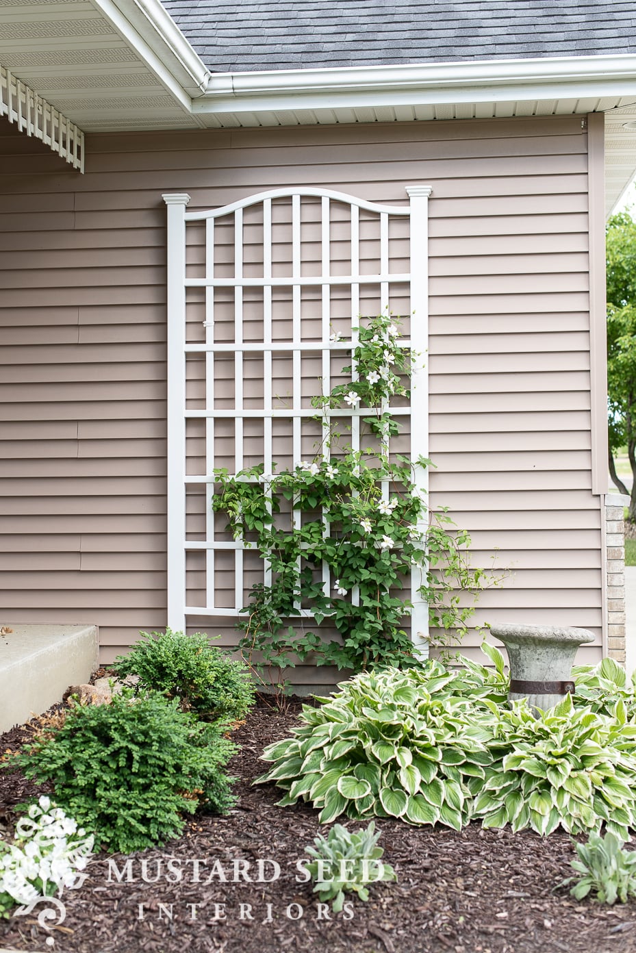summer 2021 garden update | clematis on a trellis | miss mustard seed