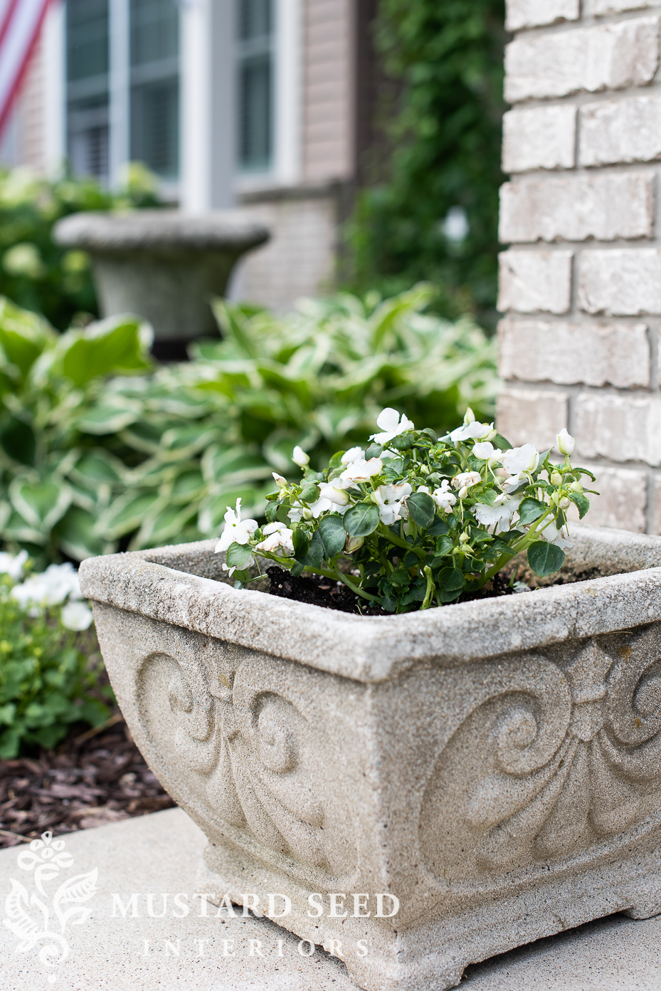 summer 2021 garden update | impatiens | concrete planter | miss mustard seed