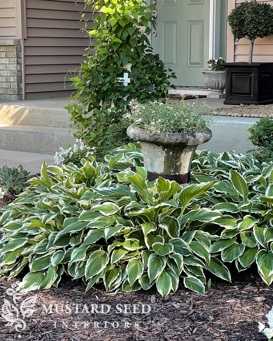 summer 2021 garden update | miss mustard seed