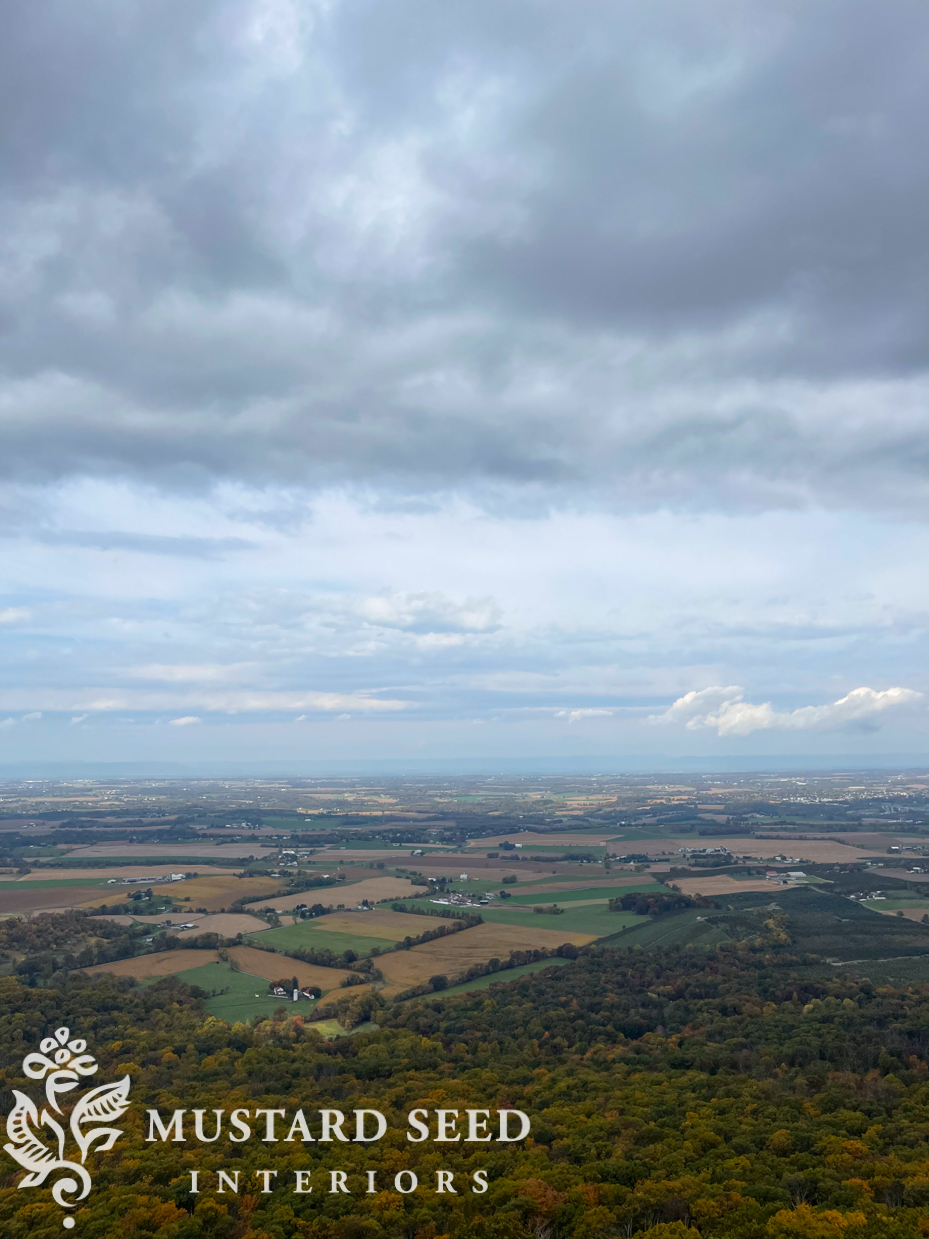 penmar overlook | miss mustard seed