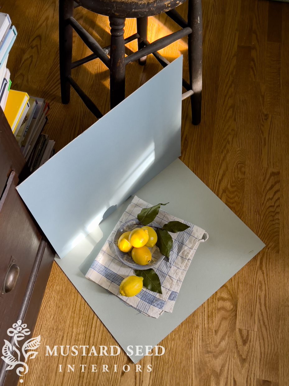 setting up a still life | miss mustard seed