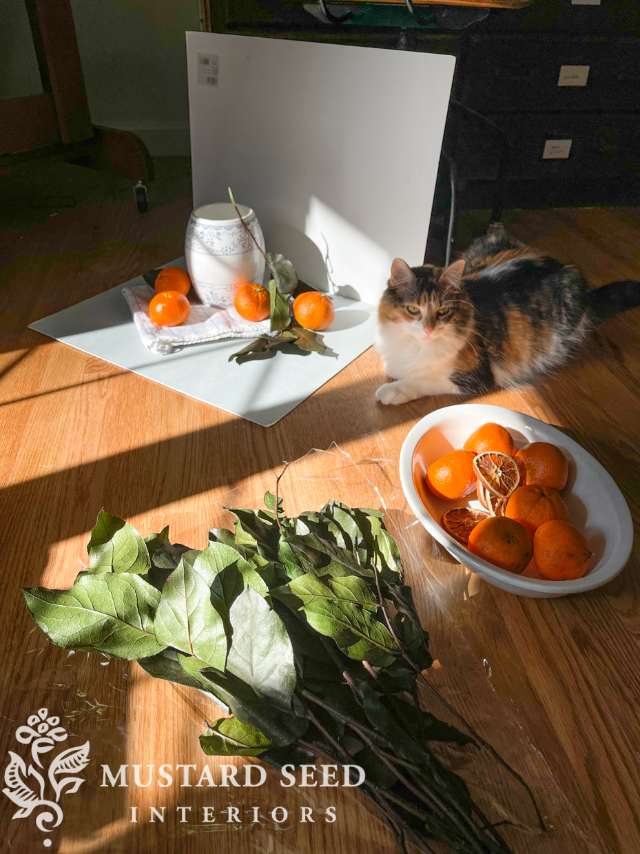 setting up a still life | miss mustard seed