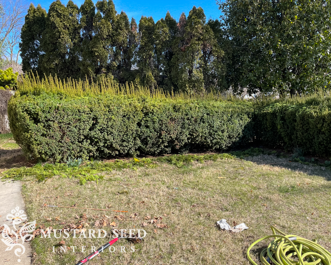 kitchen and cutting garden inspiration | miss mustard seed