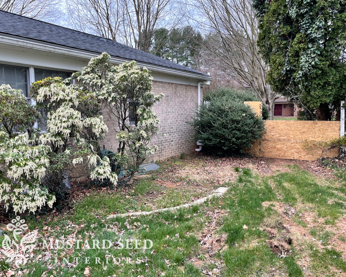 1970 home renovation | yard clean-up in progress | miss mustard seed