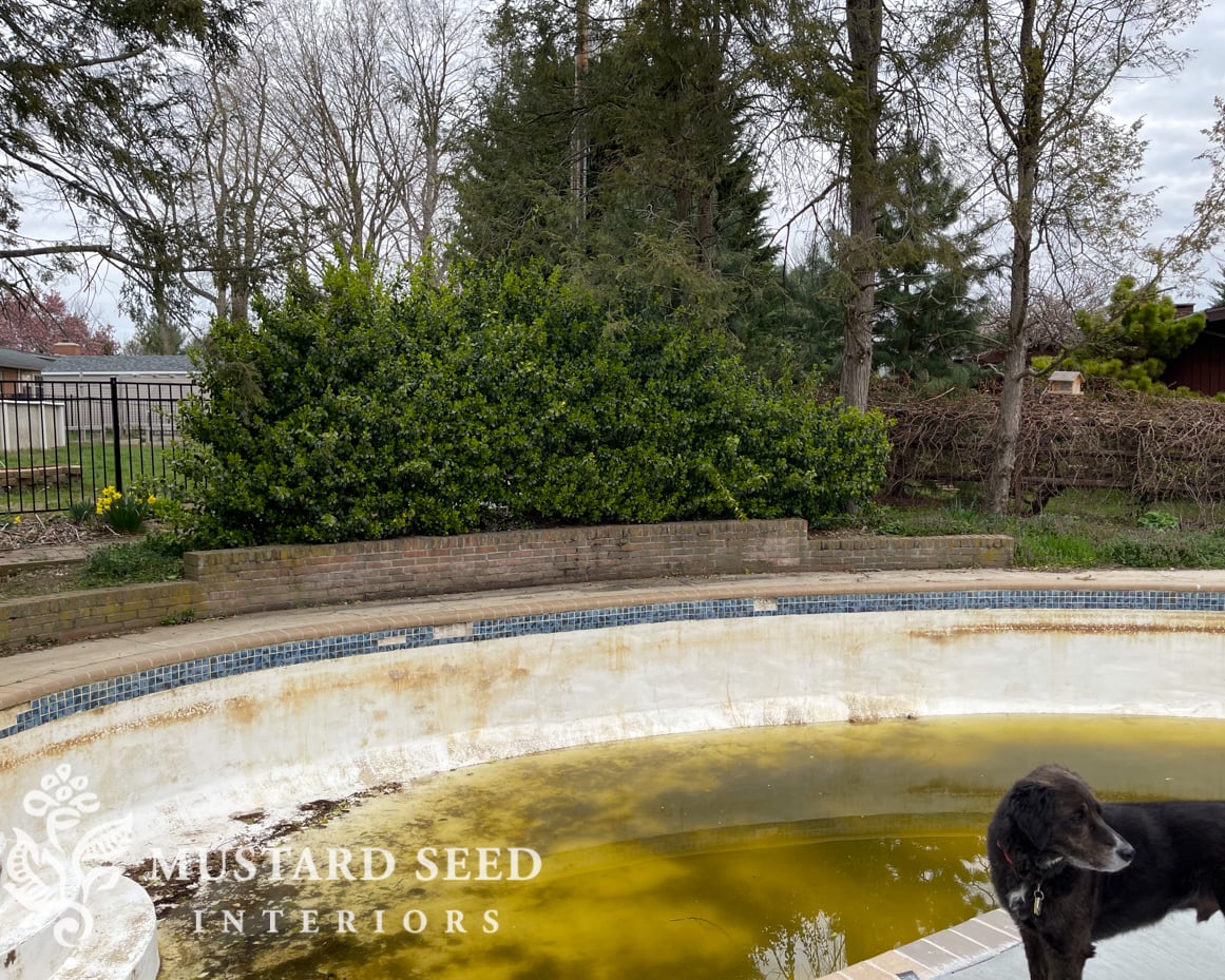 1970 home renovation | yard clean-up in progress | miss mustard seed