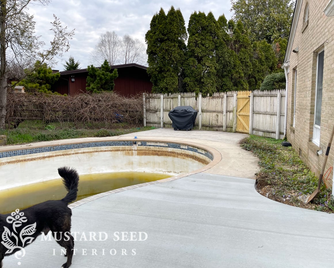 1970 home renovation | yard clean-up in progress | miss mustard seed
