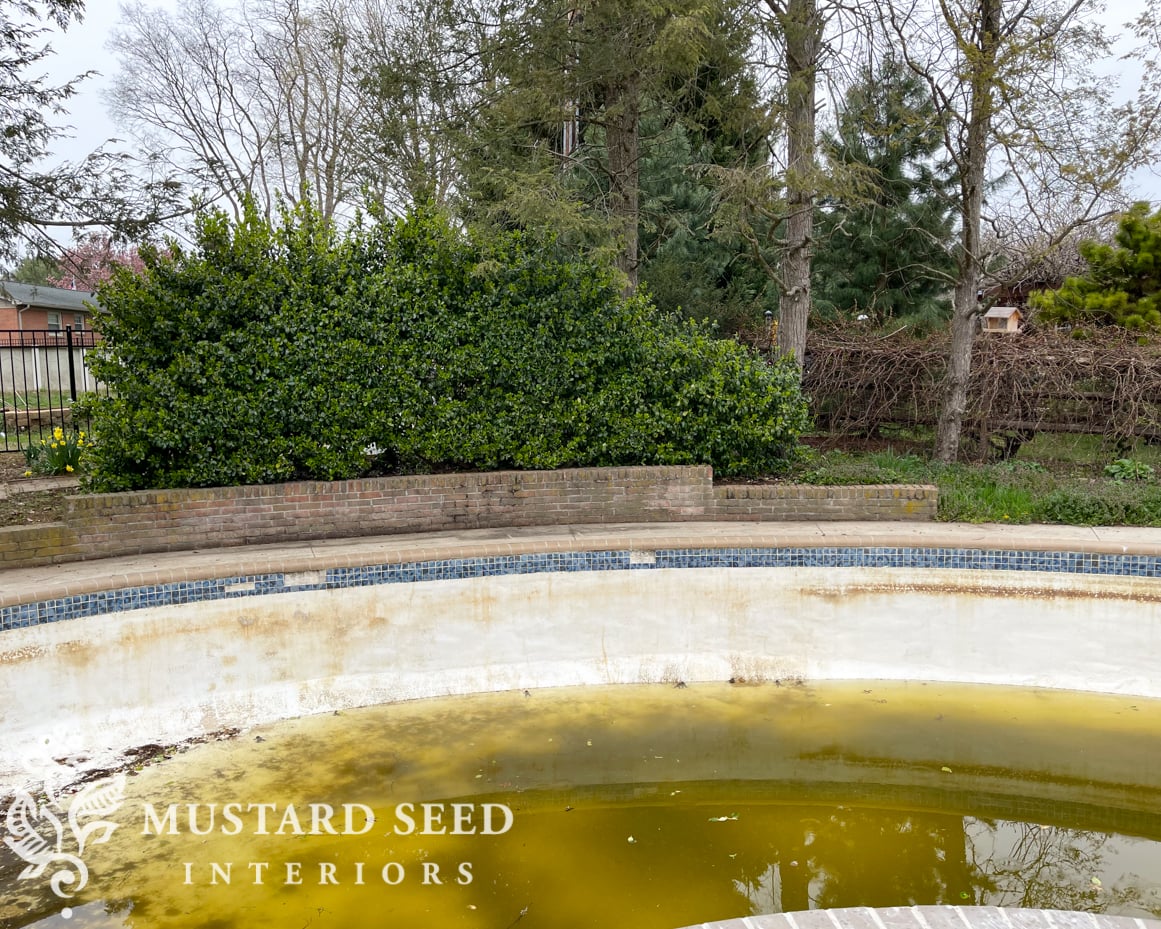 1970 home renovation | yard clean-up in progress | miss mustard seed