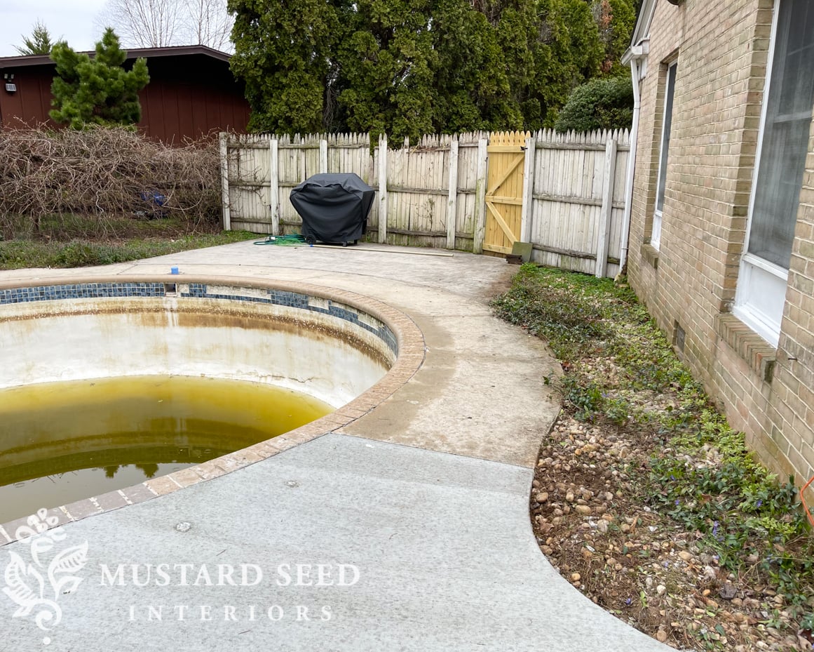 decorating with shells in the garden | miss mustard seed
