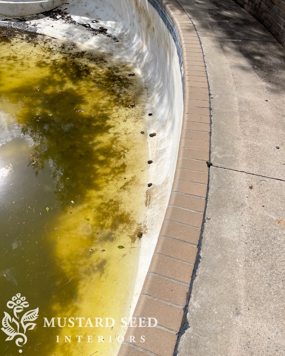 1970 pool renovation before | miss mustard seed