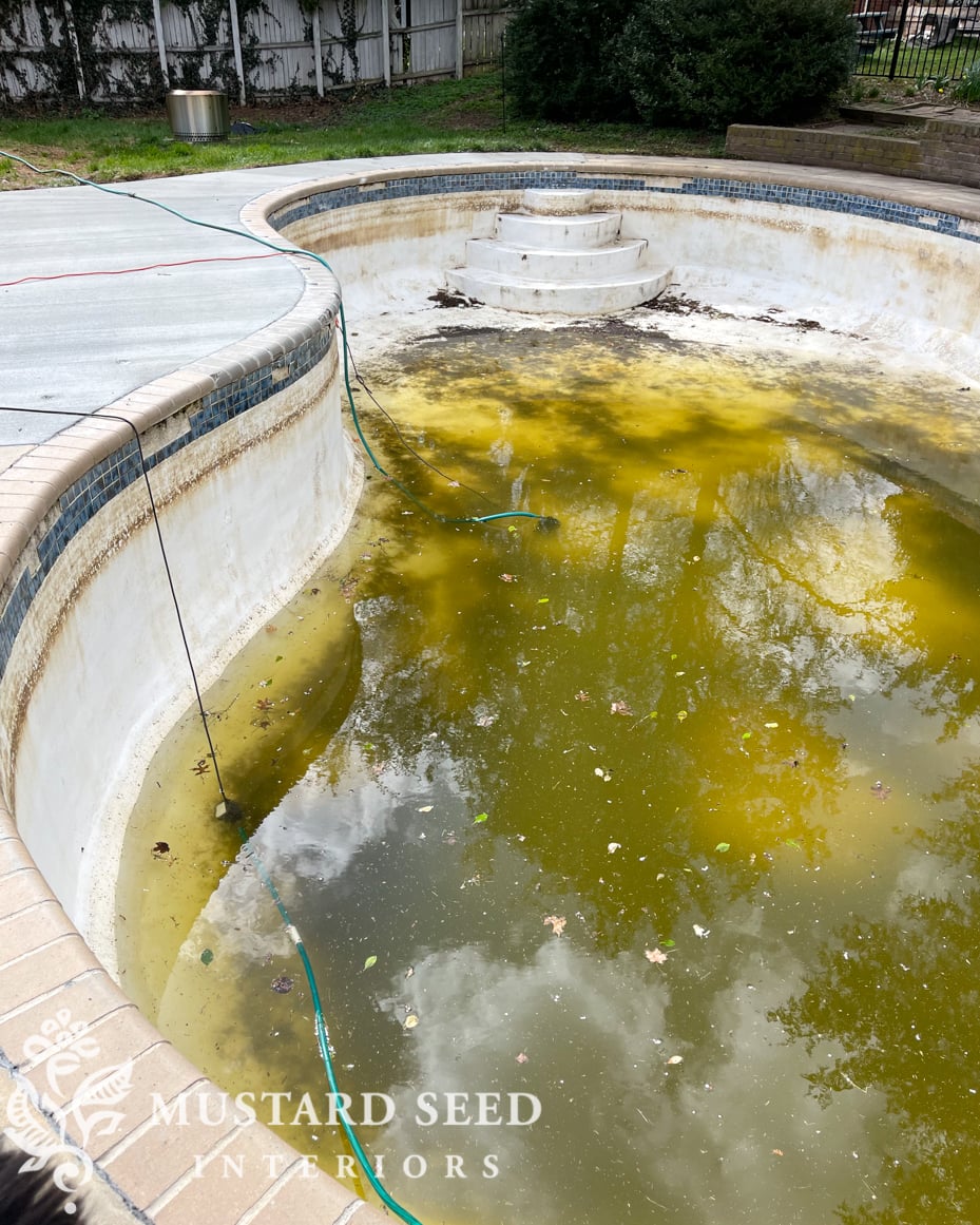 1970 pool renovation before | miss mustard seed