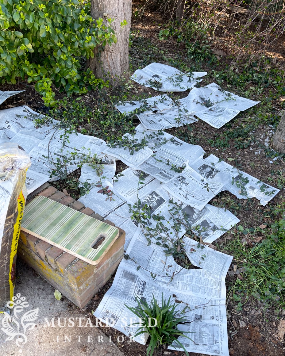 1970 home renovation | yard clean-up in progress | newsprint weed blocker | miss mustard seed