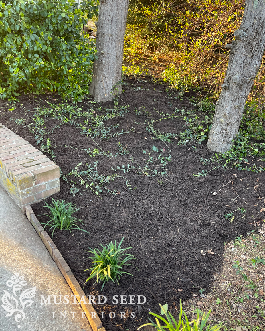 1970 home renovation | yard clean-up in progress | miss mustard seed