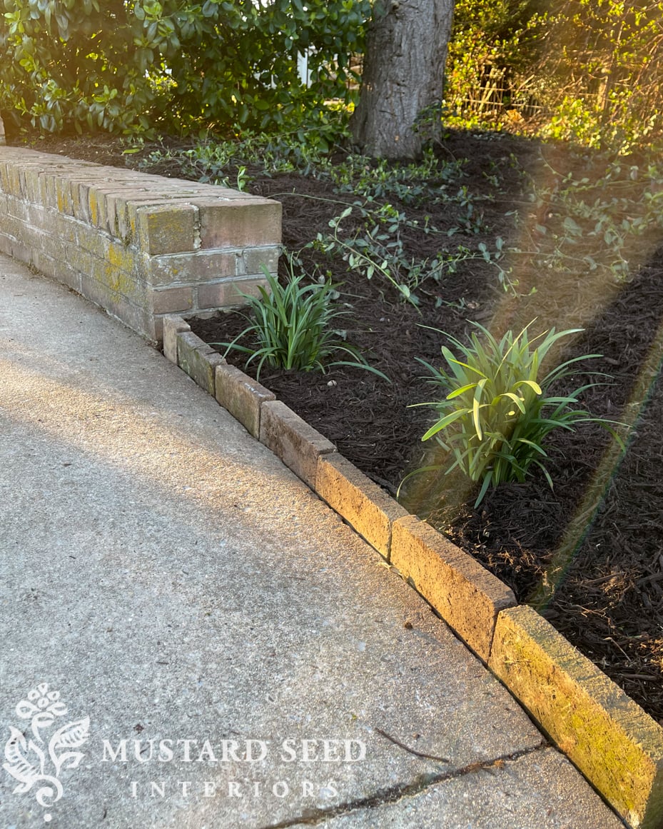 1970 home renovation | yard clean-up in progress | miss mustard seed