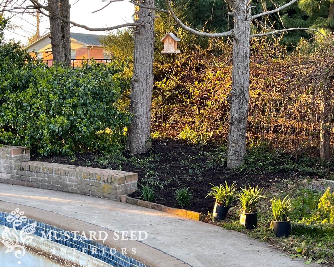 1970 home renovation | yard clean-up in progress | miss mustard seed