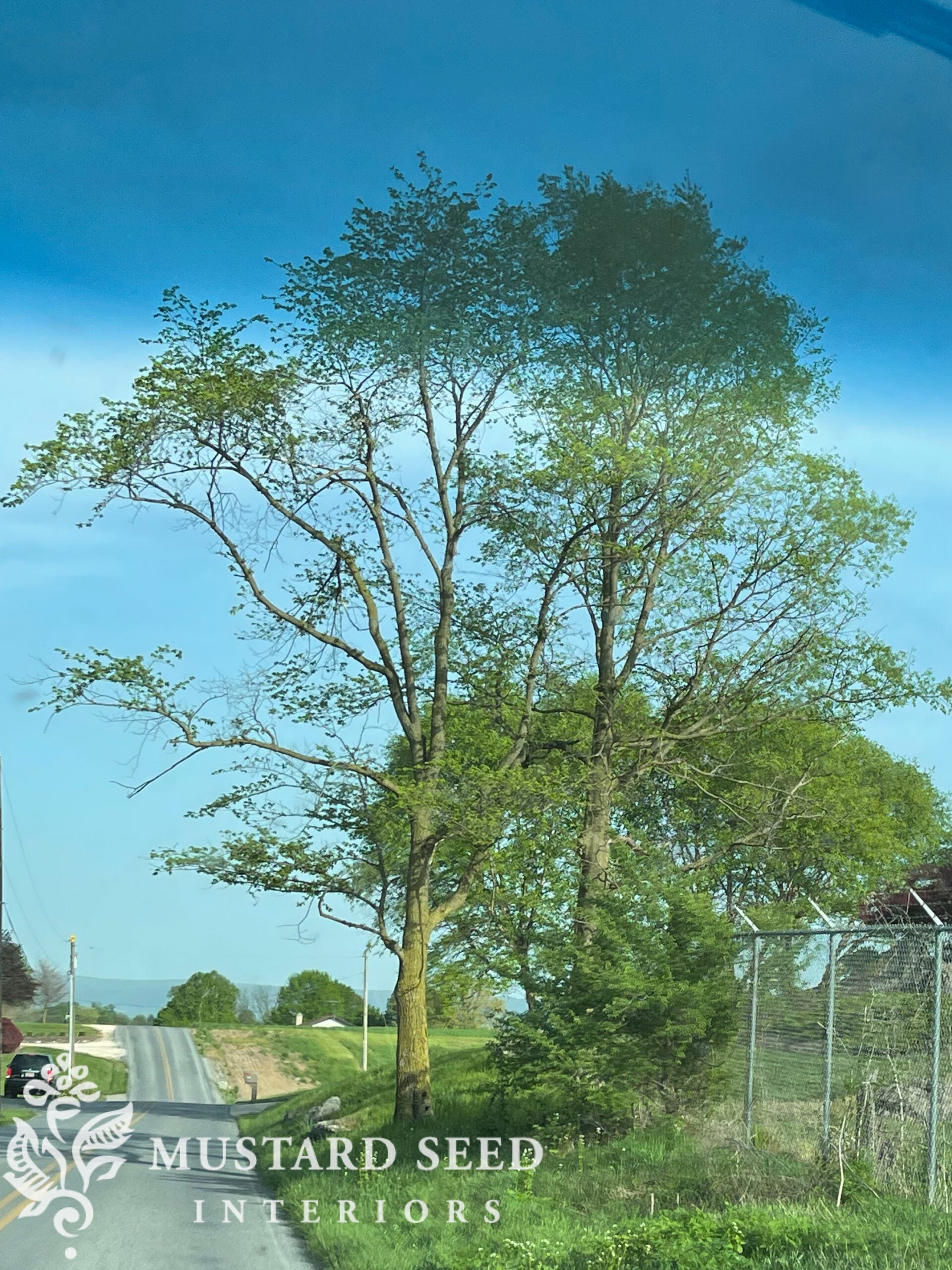 landscape painting reference photo | miss mustard seed