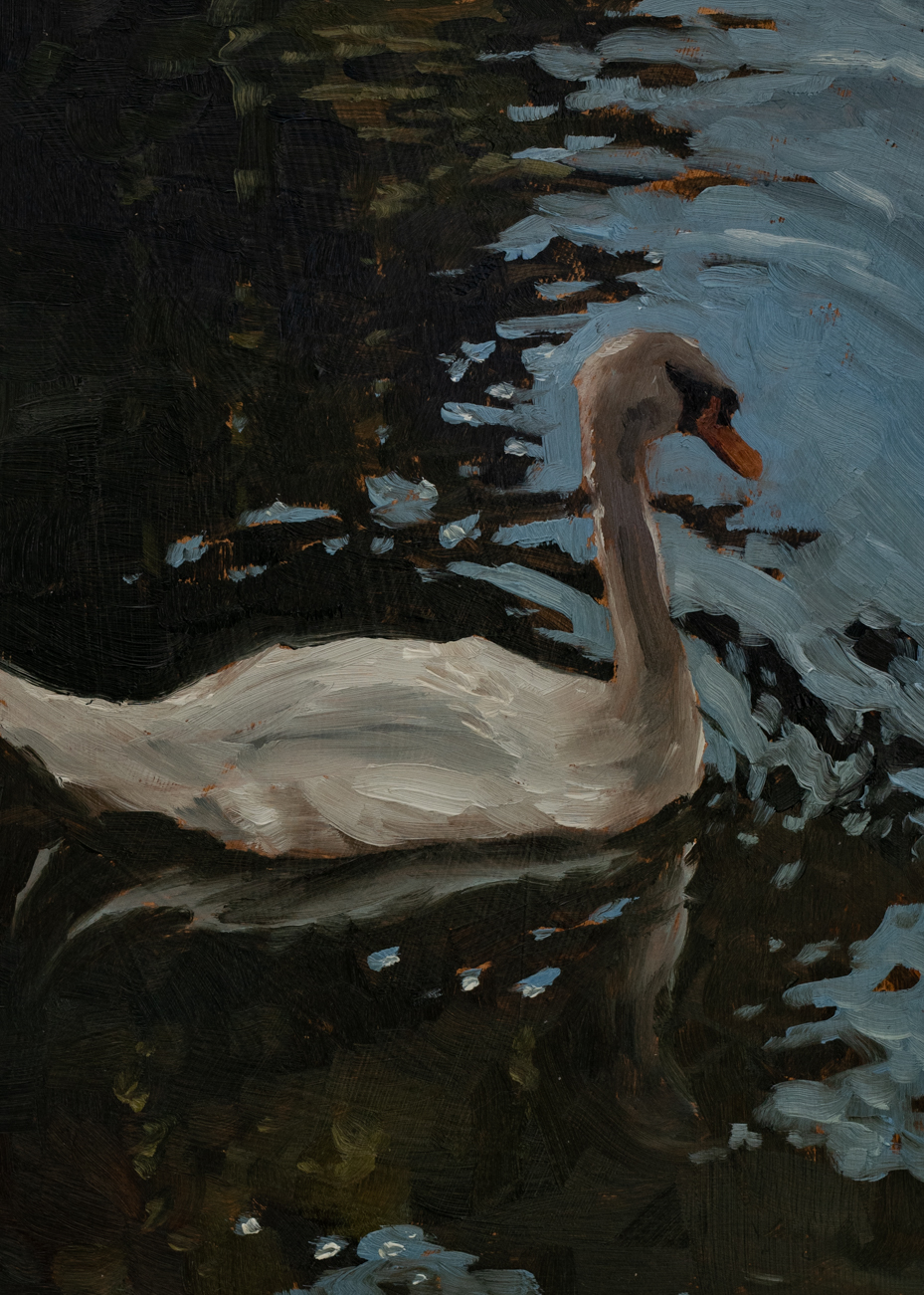 lake of the woods swan one | original oil painting | marian parsons | miss mustard seed