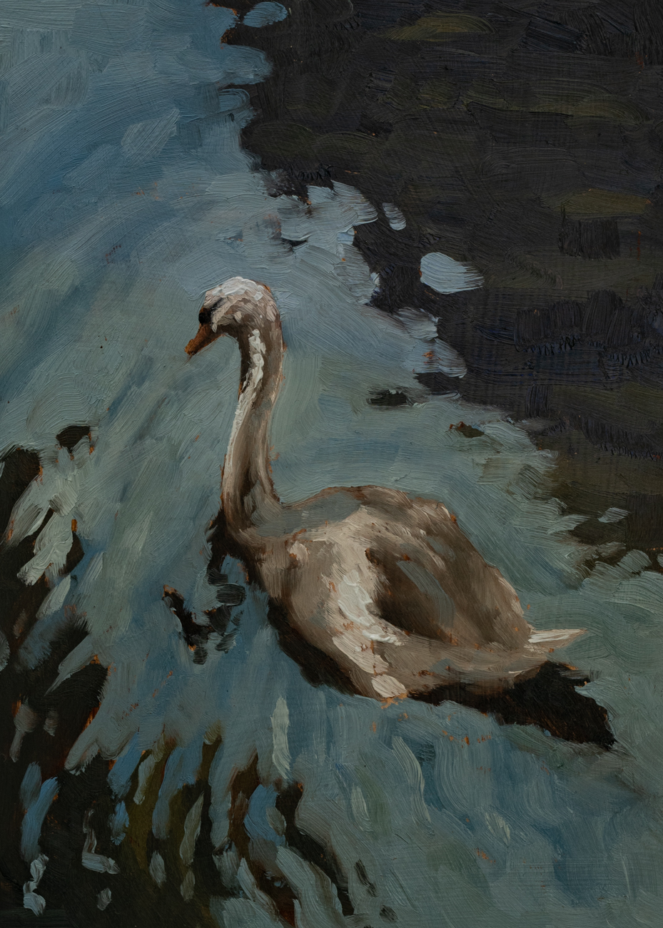 lake of the woods swan two | original oil painting | marian parsons | miss mustard seed