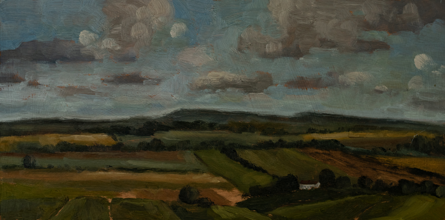 champagne fields | original oil painting | marian parsons | miss mustard seed