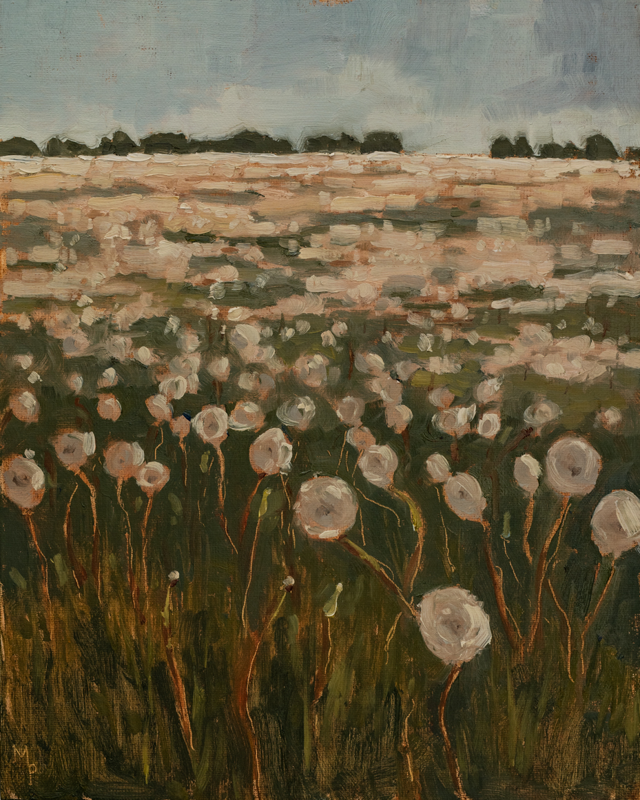 dandelion field | original oil painting | marian parsons | miss mustard seed