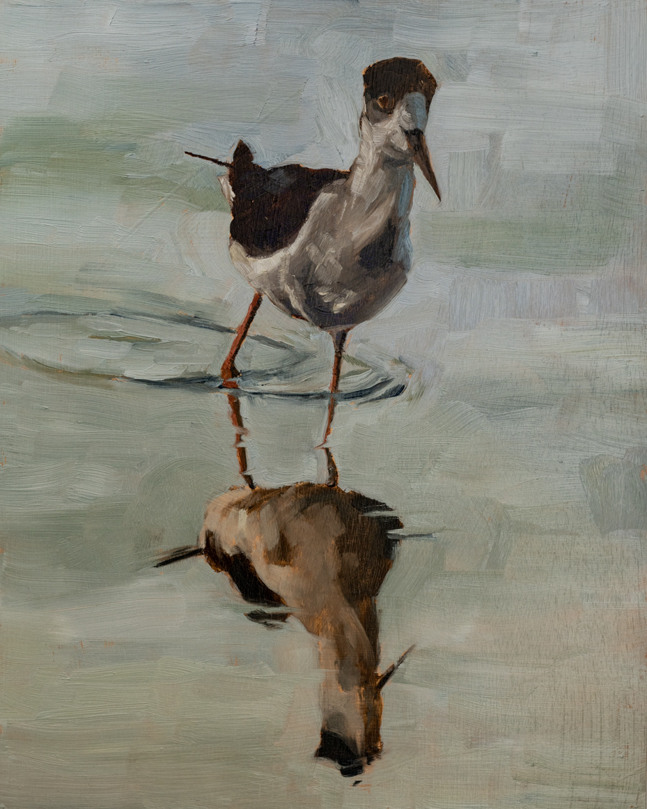 wading | original oil painting | marian parsons | miss mustard seed