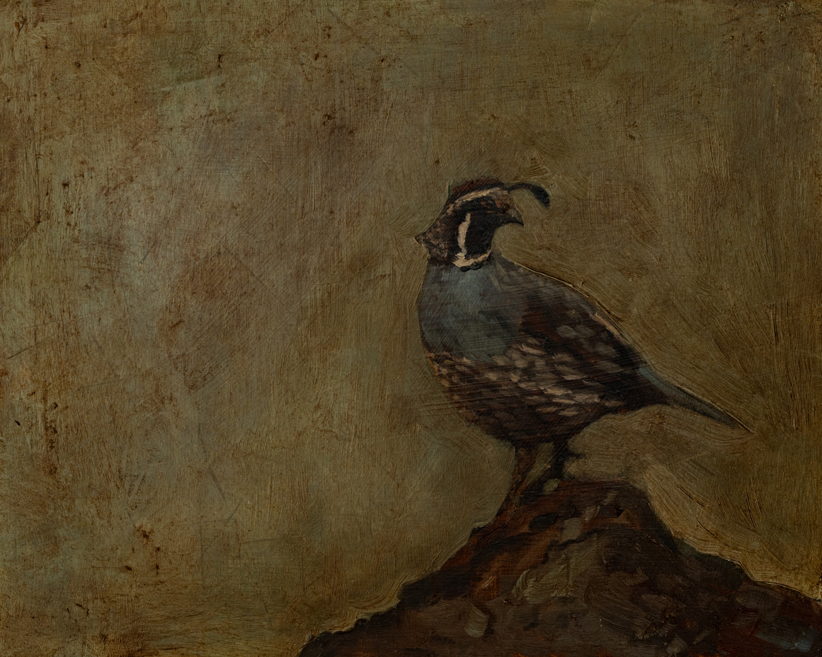 vintage quail | original oil painting | marian parsons | miss mustard seed