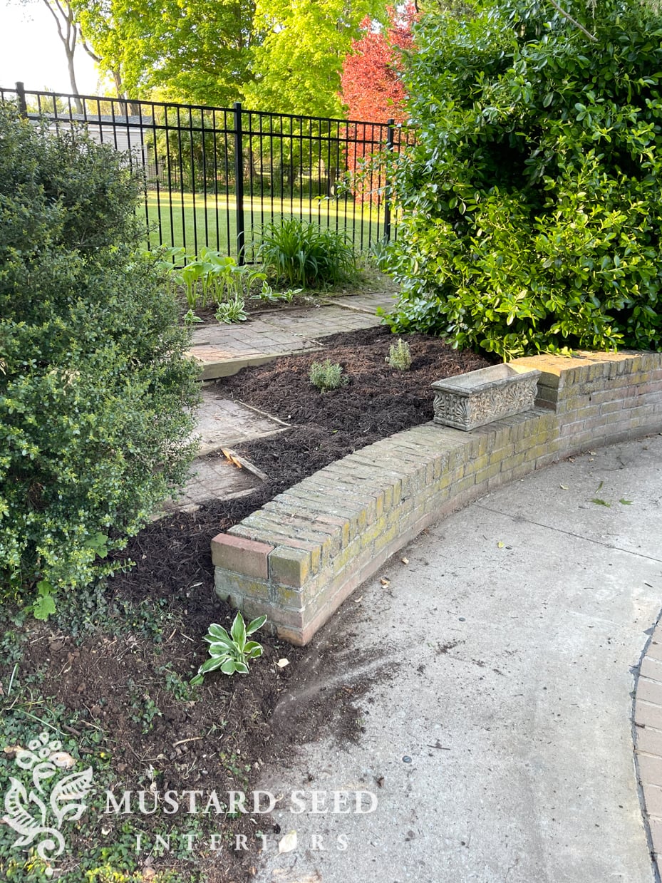 garden progress | 1970 home renovation | miss mustard seed