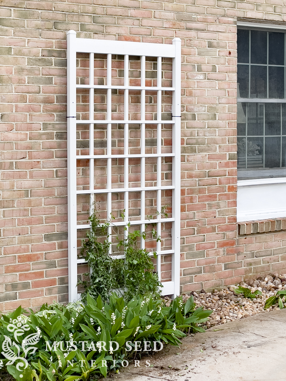 garden progress | 1970 home renovation | miss mustard seed