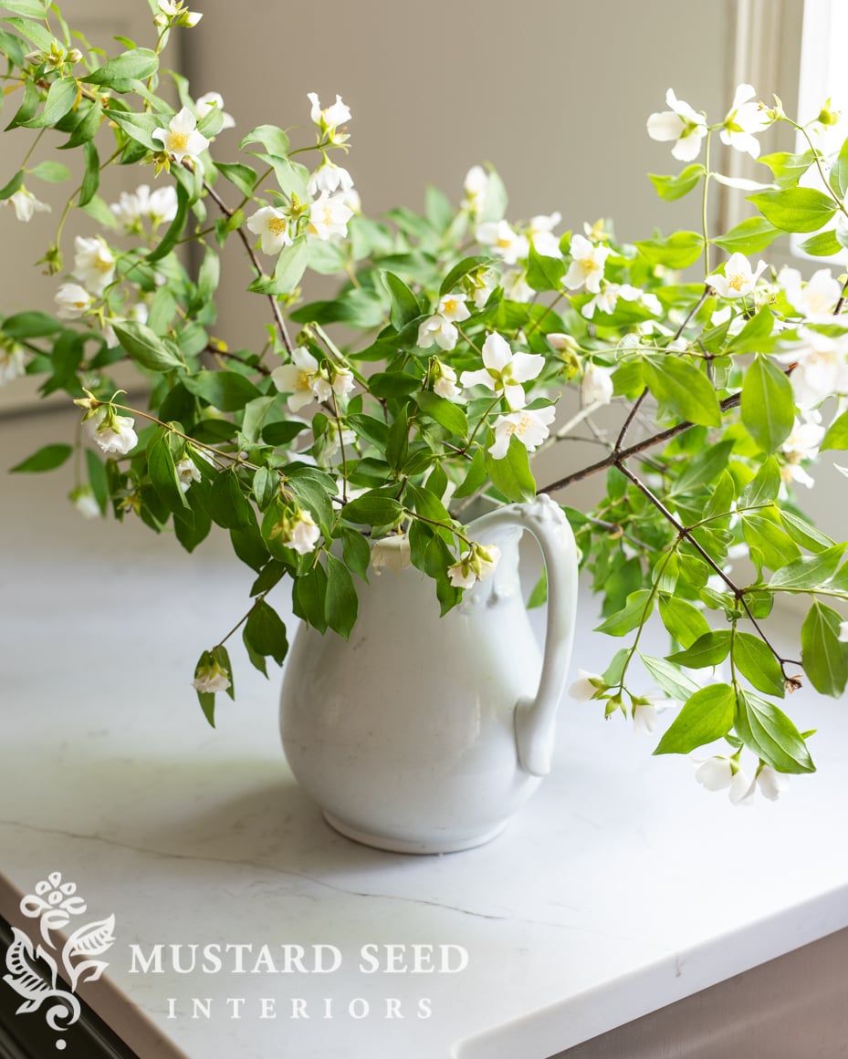 mock orange blossoms | miss mustard seed