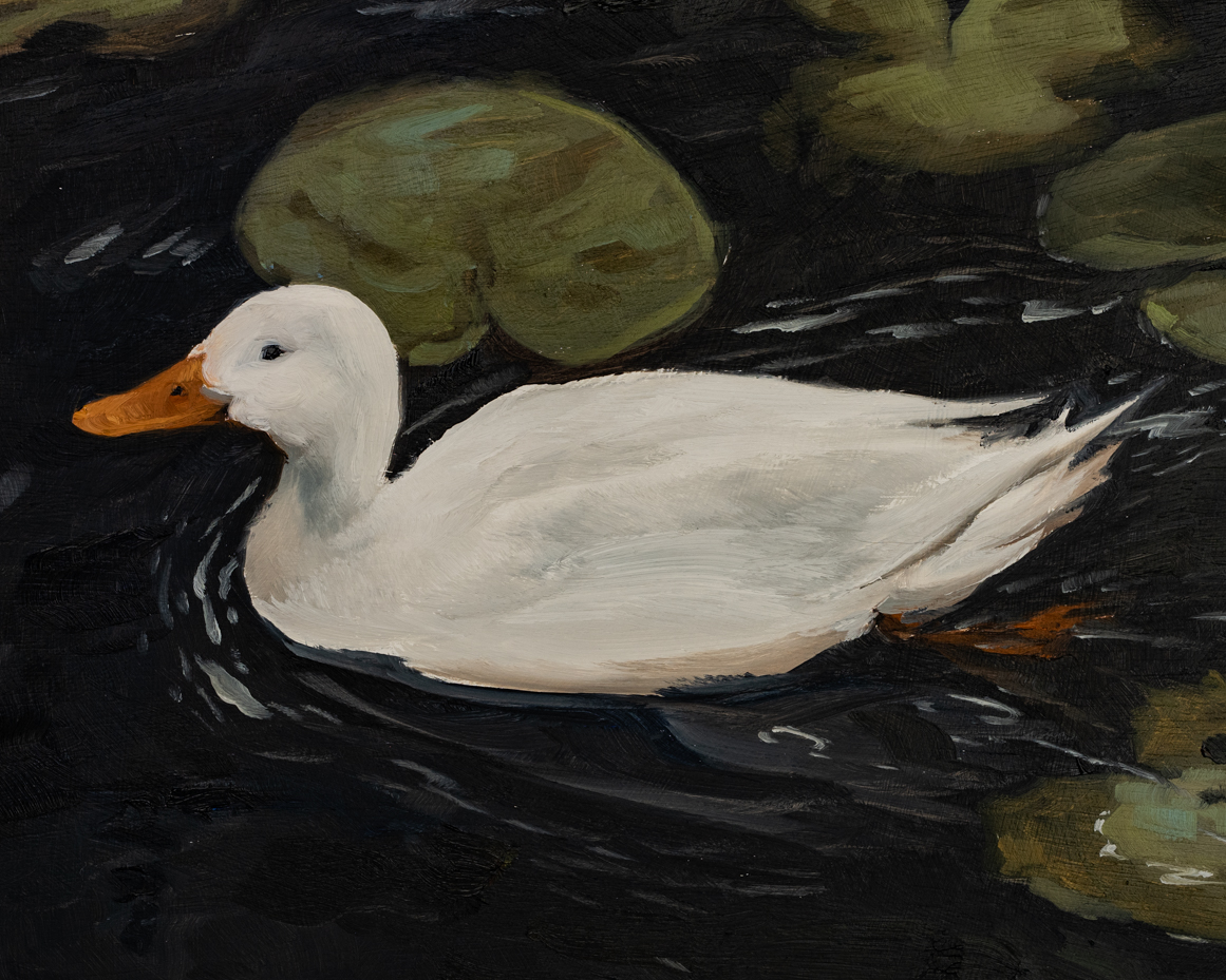 Original oil painting | duck painting | miss mustard seed | marian parsons art
