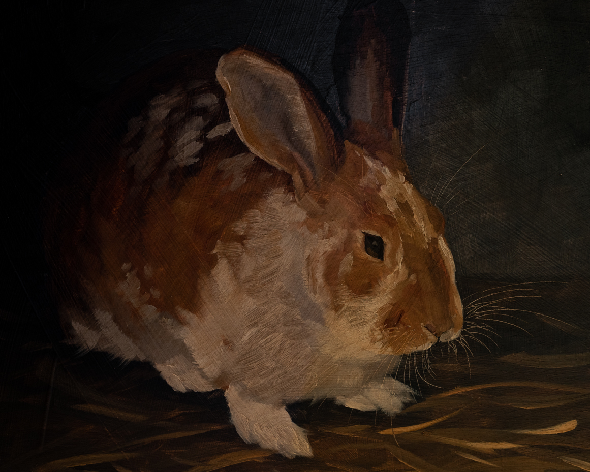 Original oil painting | rabbit bunny painting | miss mustard seed | marian parsons art