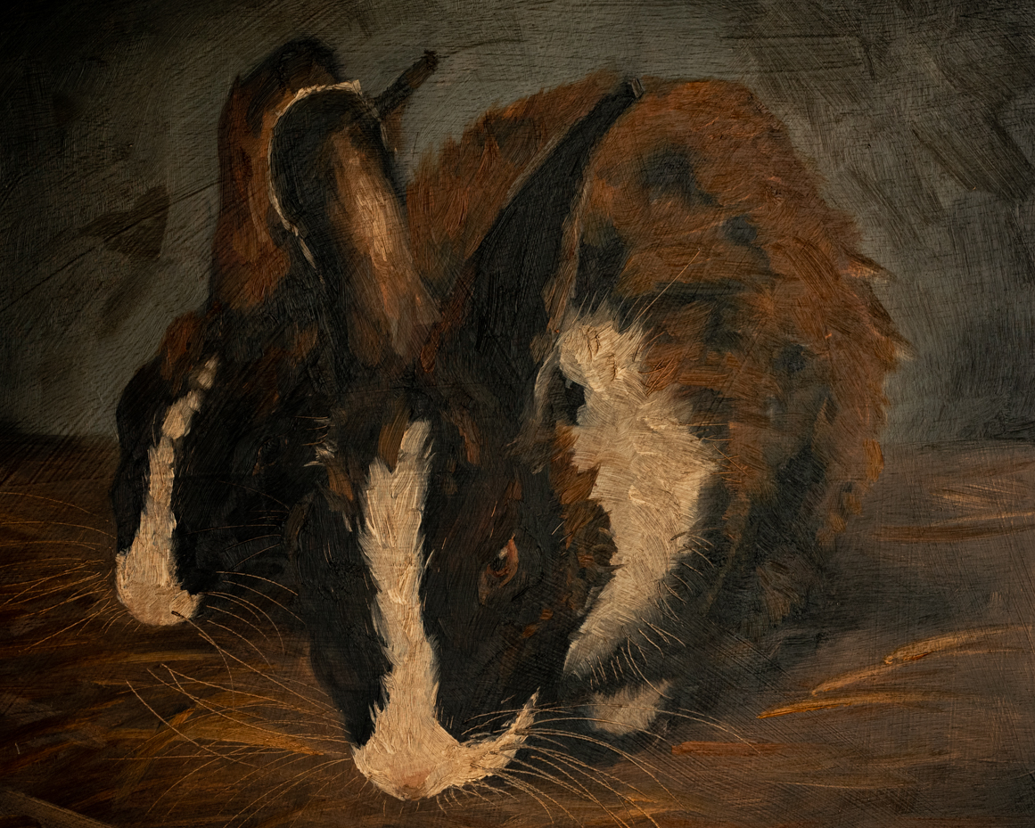 Original oil painting | rabbit bunny painting | miss mustard seed | marian parsons art