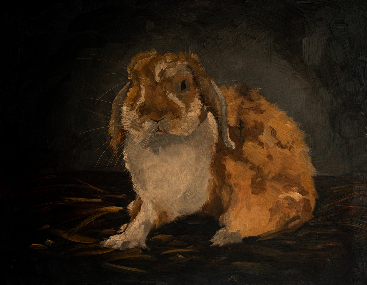 Original oil painting | rabbit bunny painting | miss mustard seed | marian parsons art