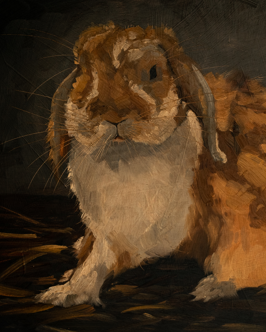 Original oil painting | rabbit bunny painting | miss mustard seed | marian parsons art