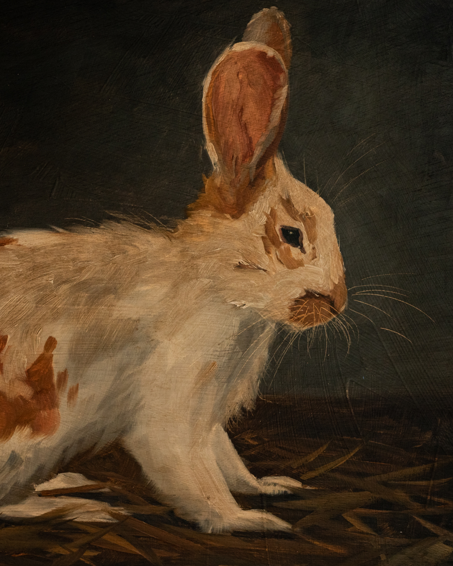 Original oil painting | rabbit bunny painting | miss mustard seed | marian parsons art